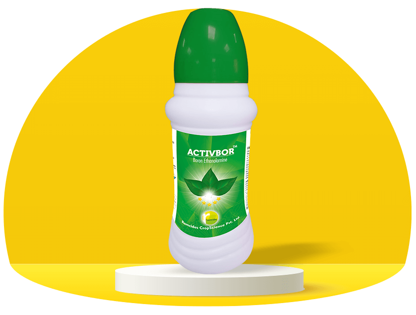 Plant Health Product | Ramcides CropScience | Ramcides CropScience
