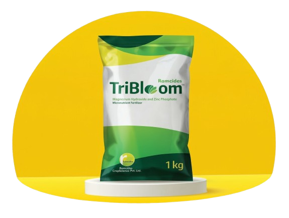 Plant Health Product | Ramcides CropScience | Ramcides CropScience